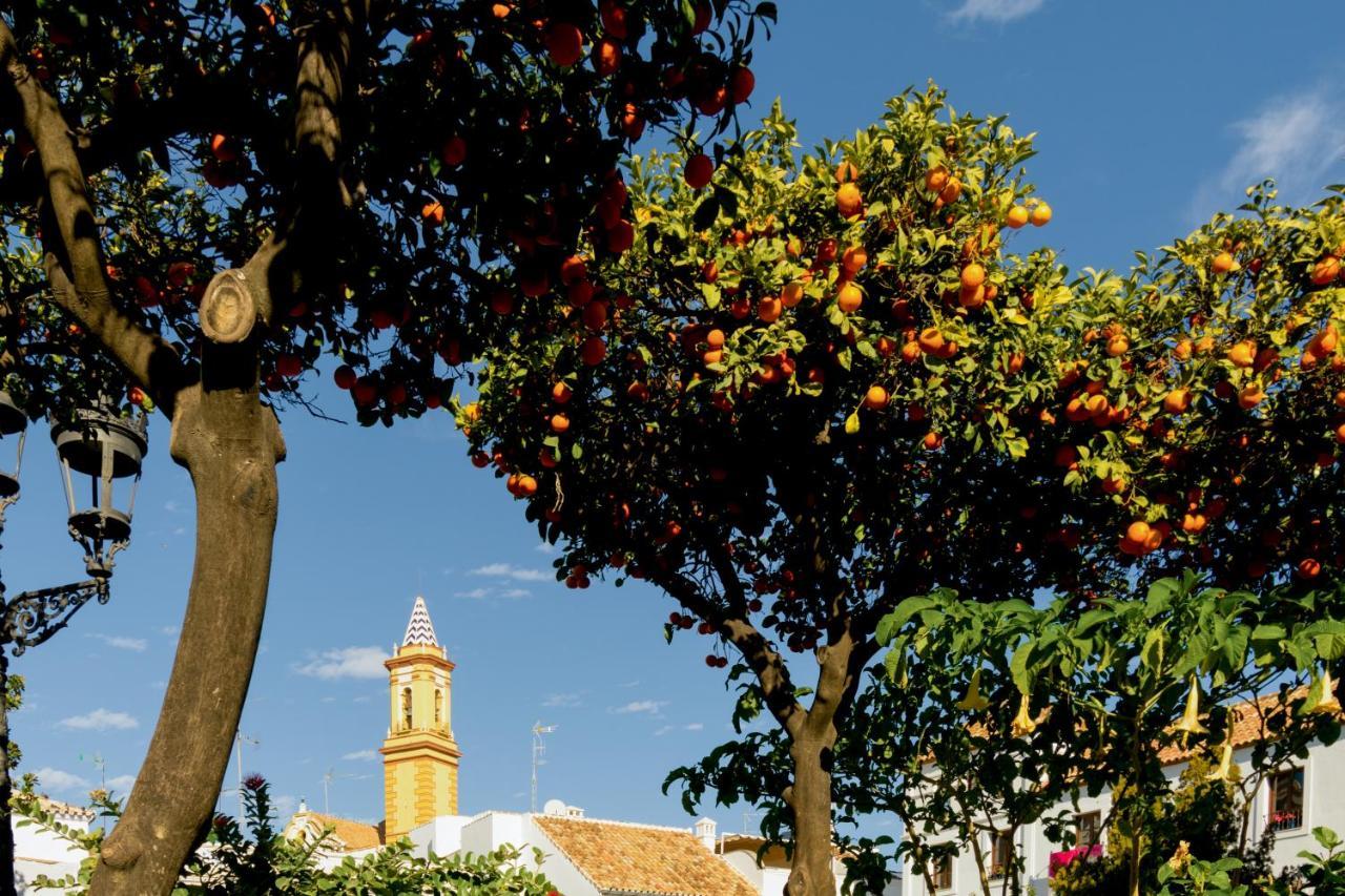 Appartement Casa Azul - Boutique By Casa Del Patio (adults Only) *